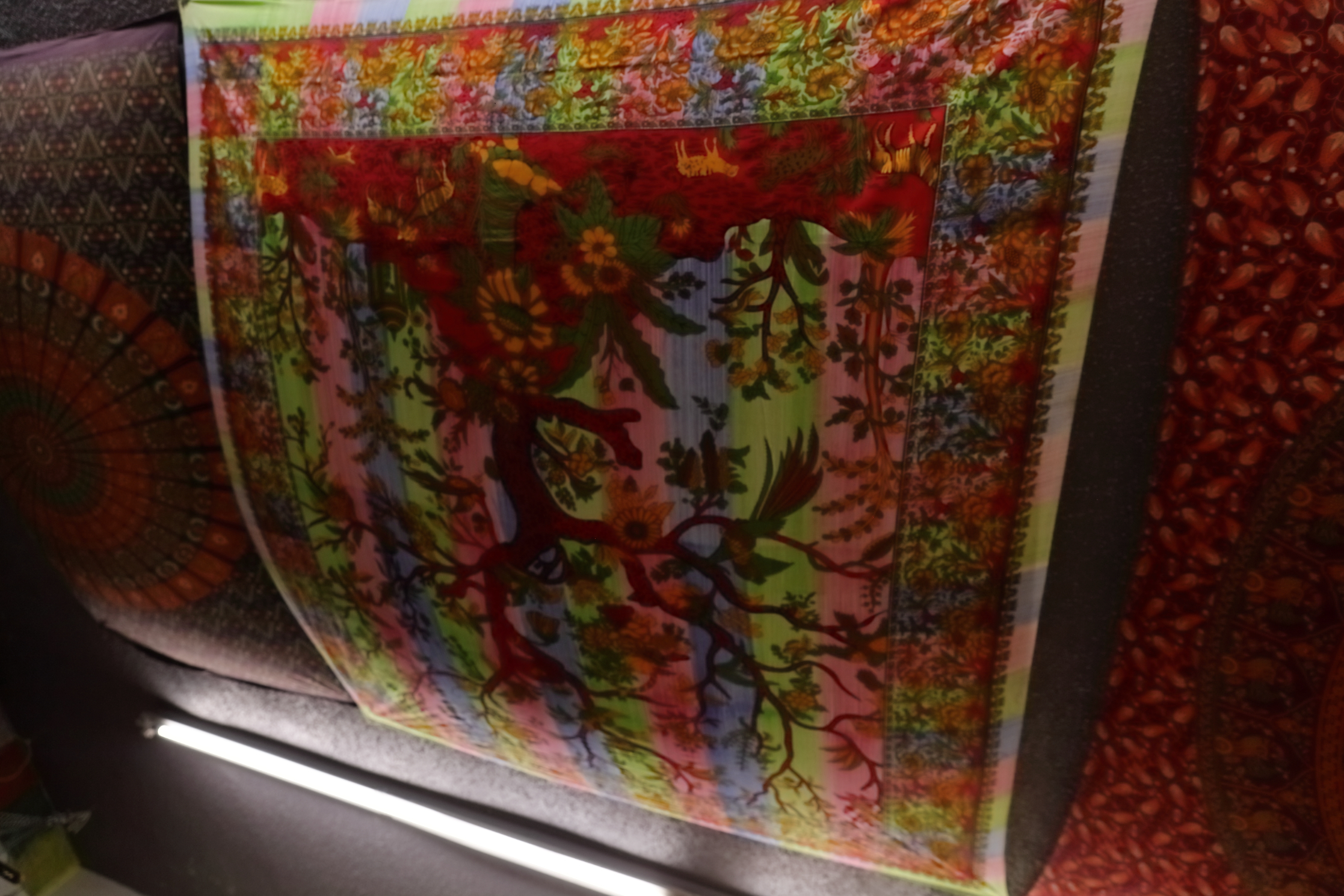 2024 06 26 HTP 51520e
