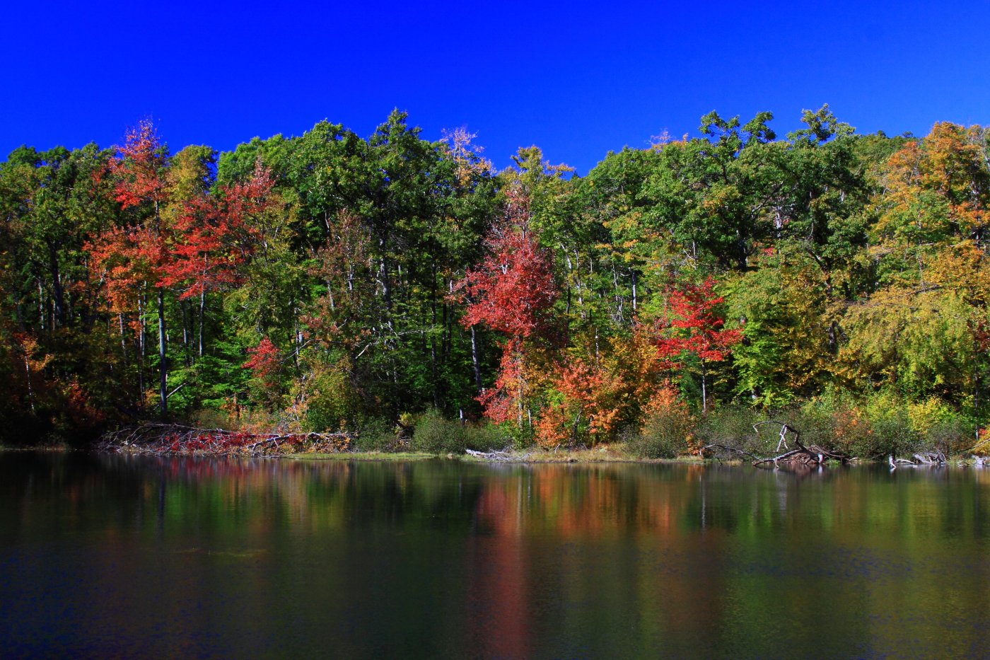 2010 10 10 IMG 11458