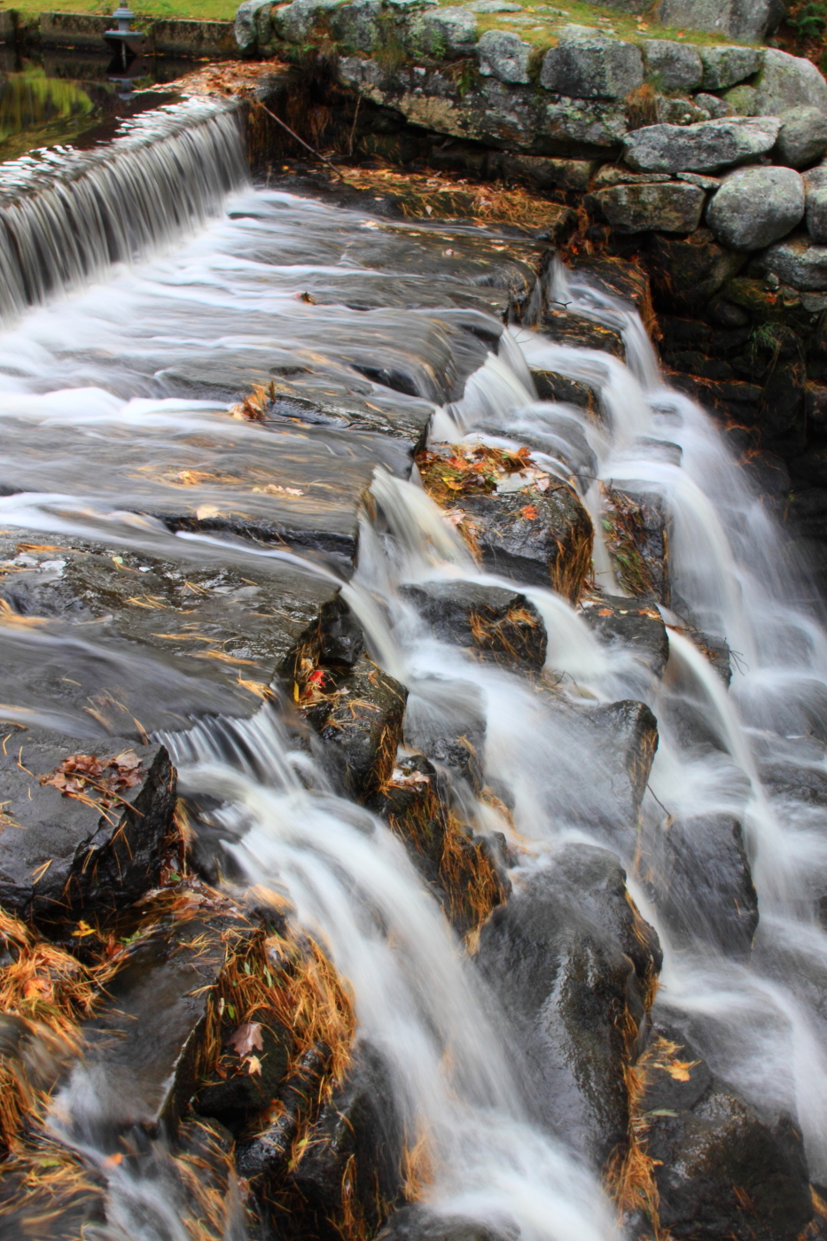 2010 10 11 IMG 11637