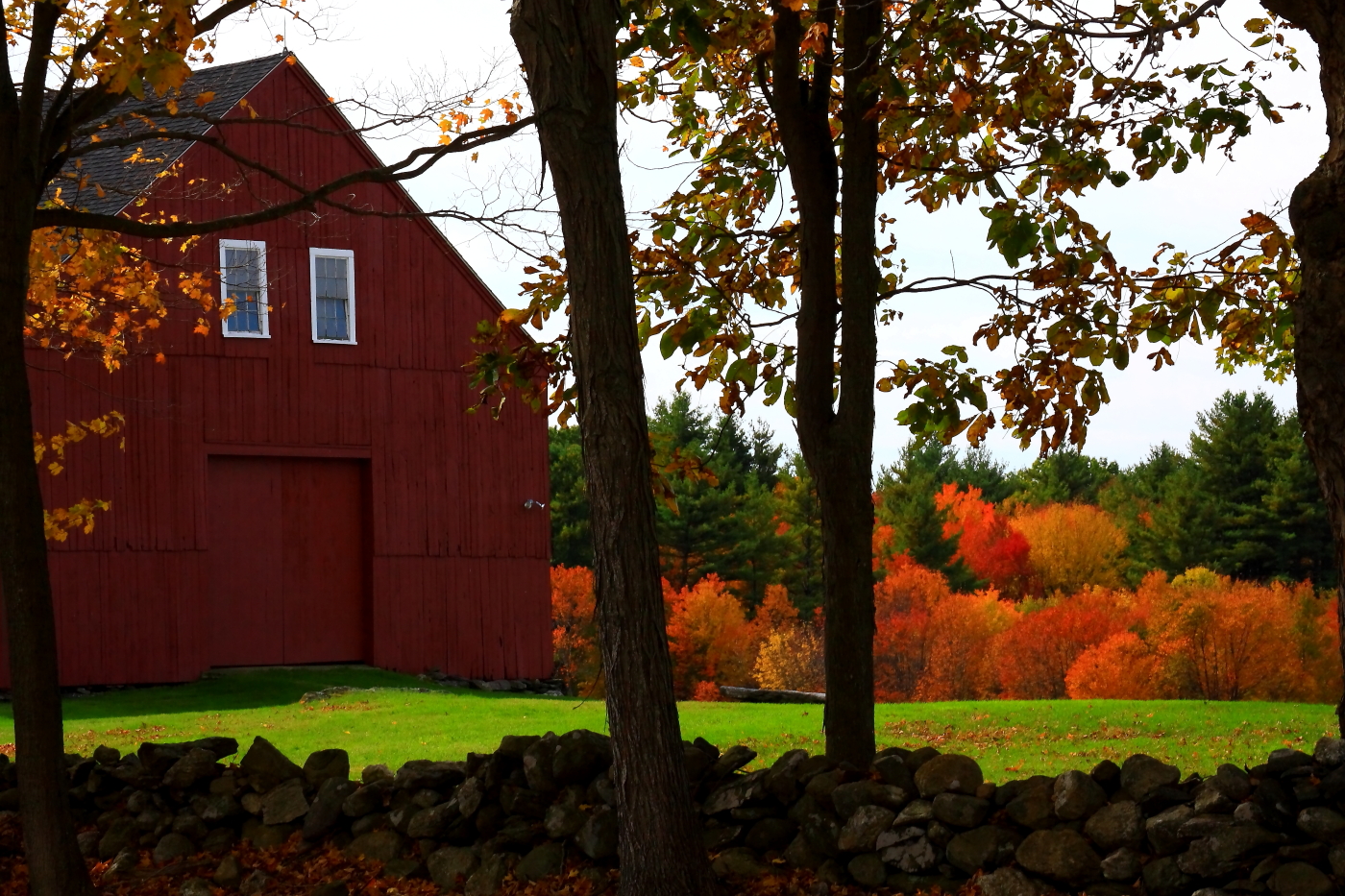 2010 10 11 IMG 11684