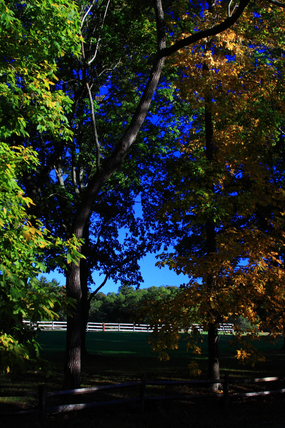 2010 10 13 IMG 11949