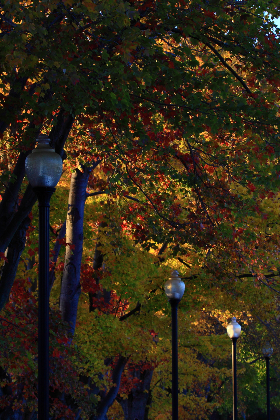 2010 10 22 IMG 13054
