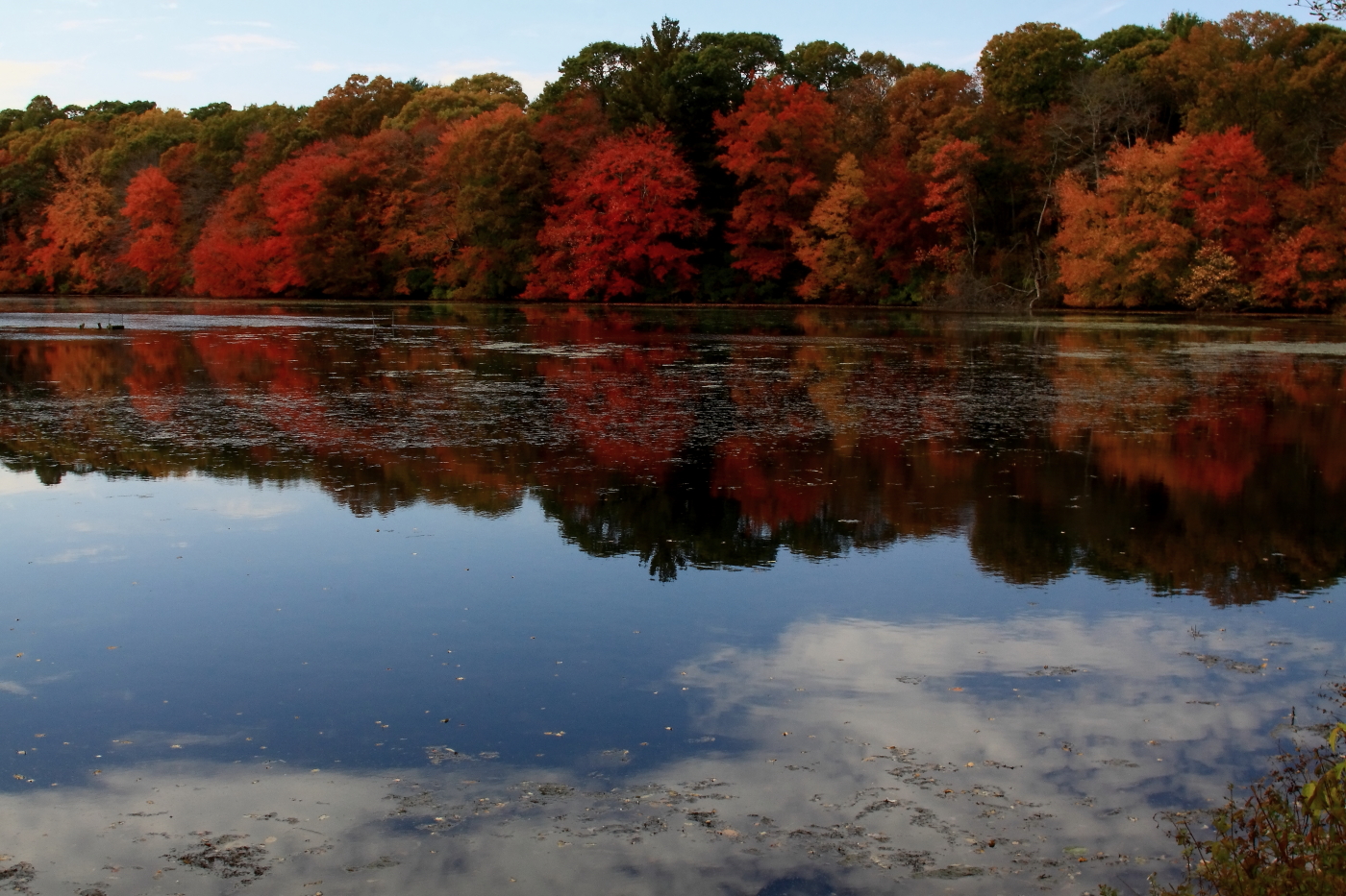 2010 10 24 IMG 13486