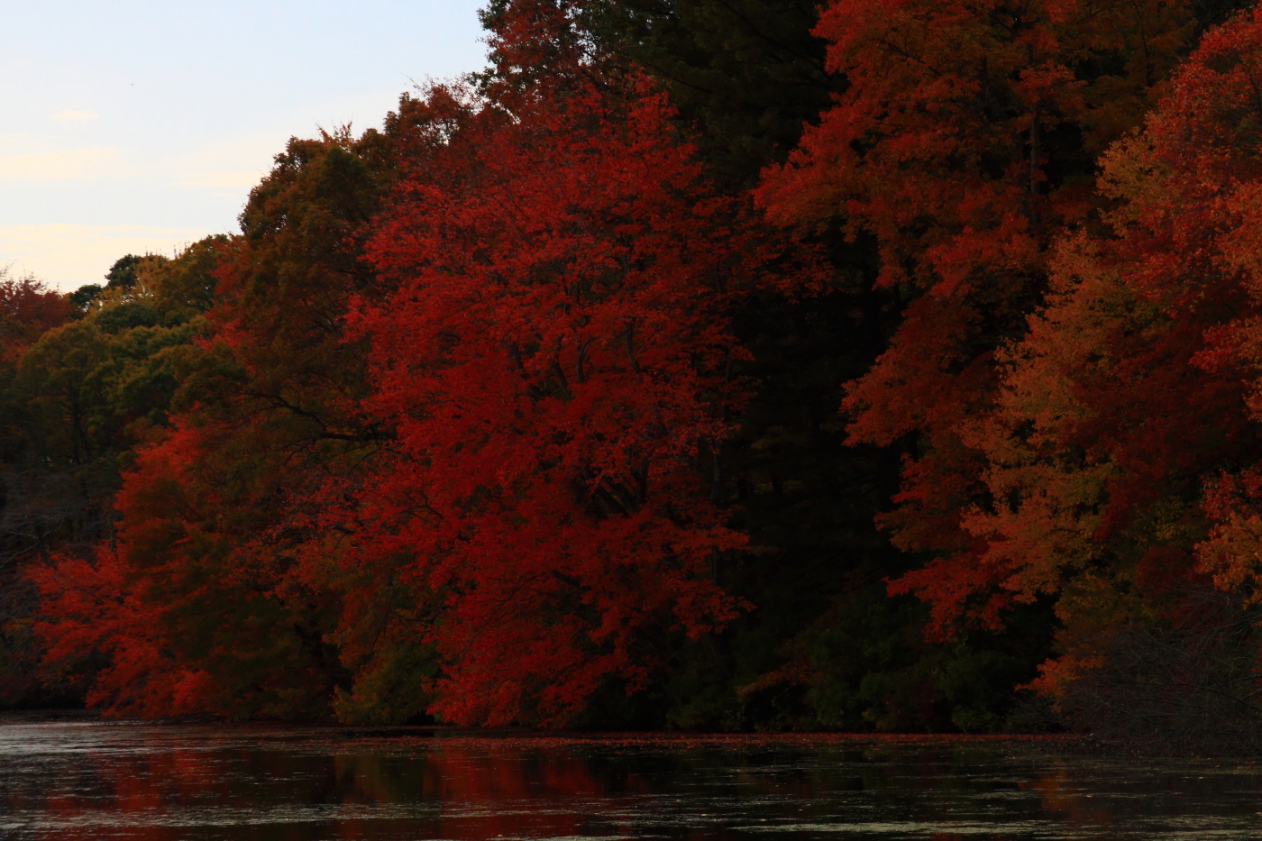 2010 10 24 IMG 13503