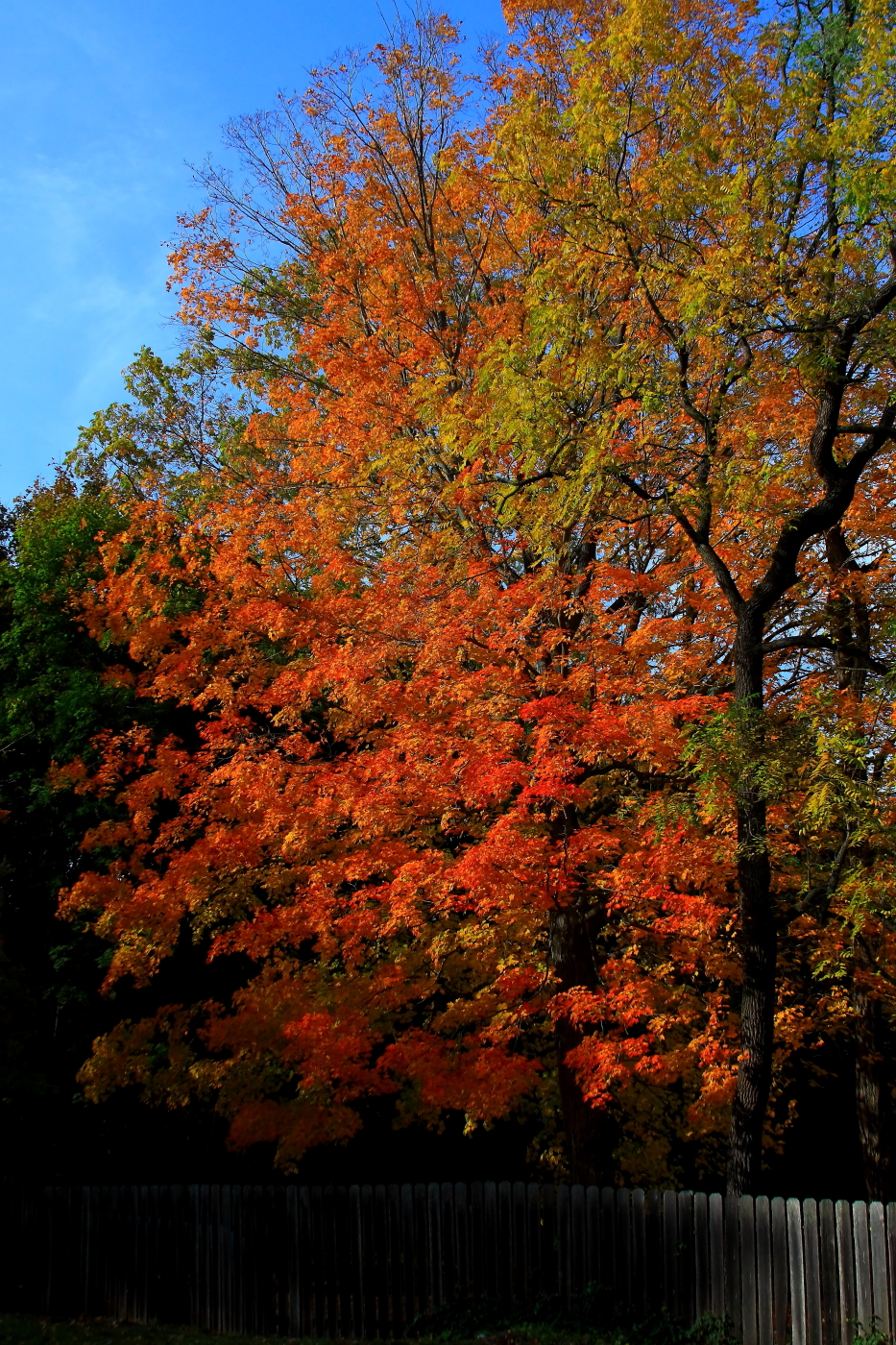 2010 10 25 IMG 13901e