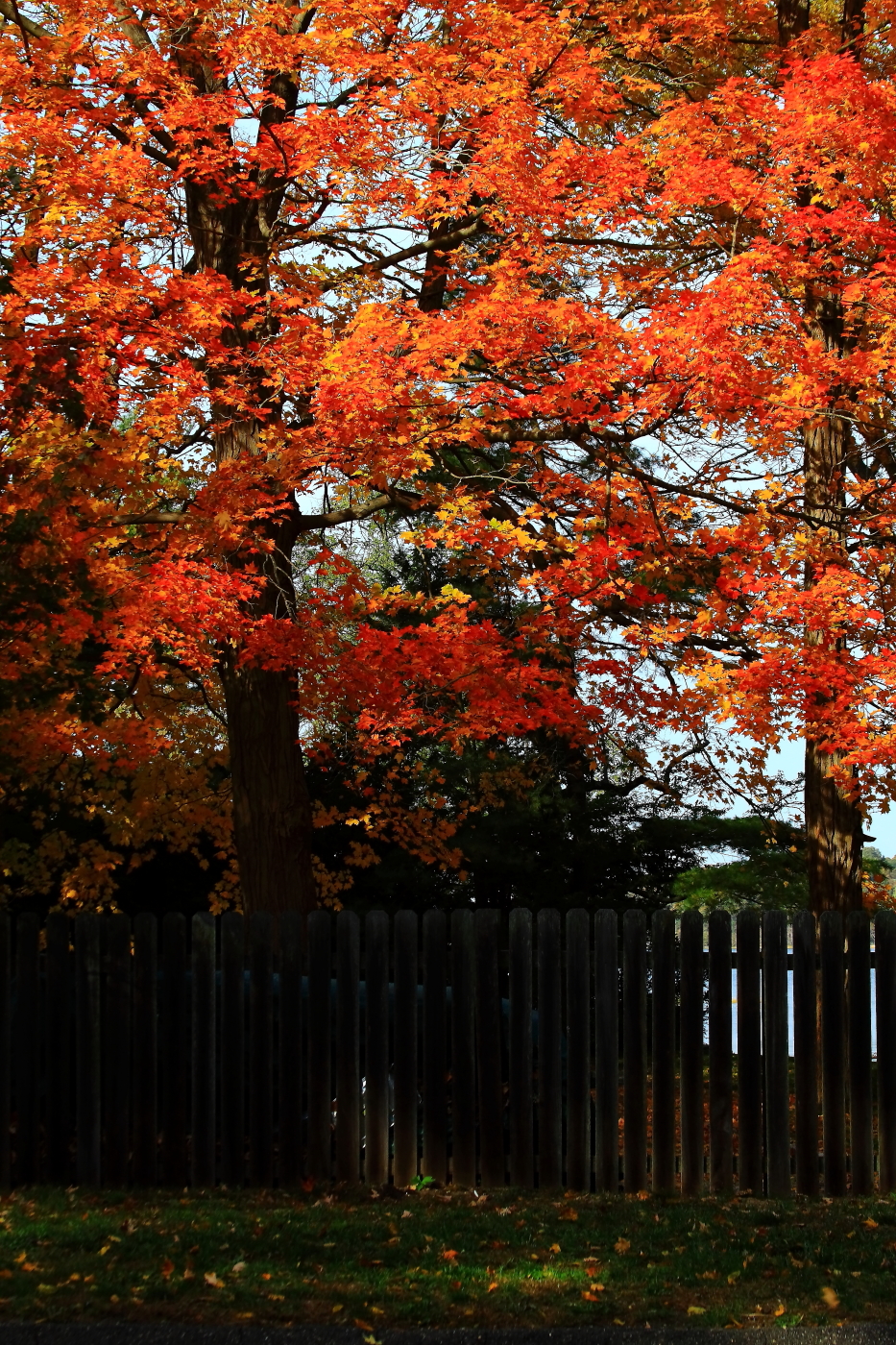 2010 10 25 IMG 13915e