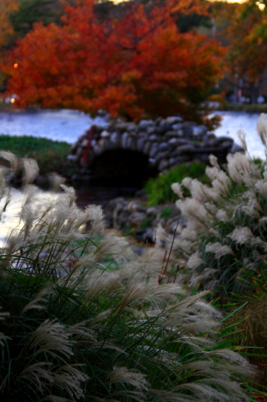 2010 10 29 IMG 14065e