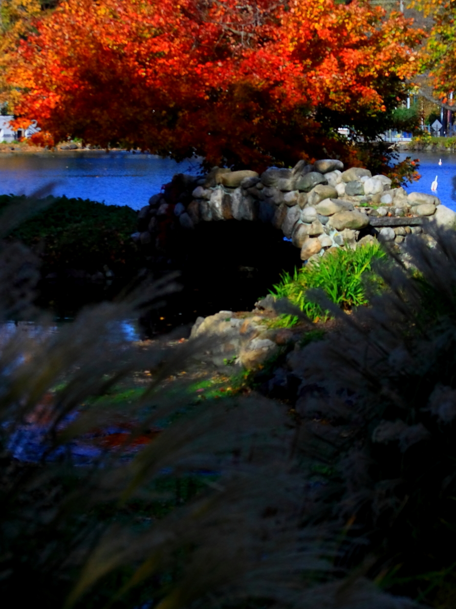2010 10 30 IMG 14078e