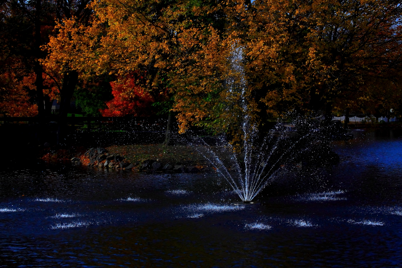 2010 10 30 IMG 14160