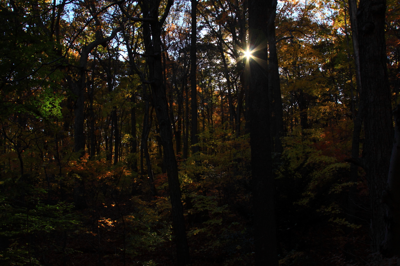 2010 11 11 IMG 15040