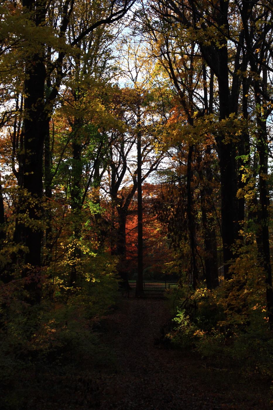 2010 11 14 IMG 15144
