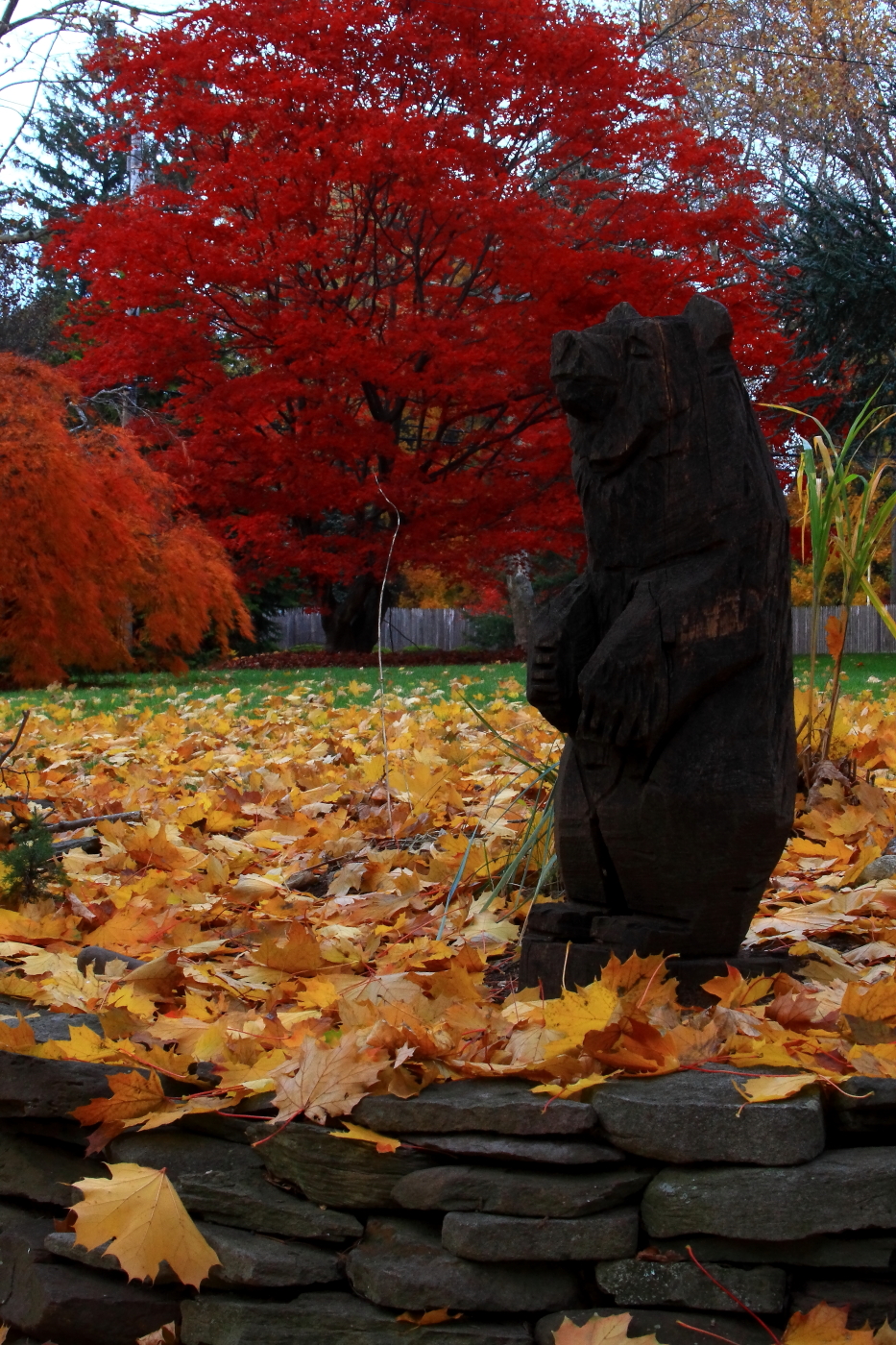 2010 11 15 IMG 15252