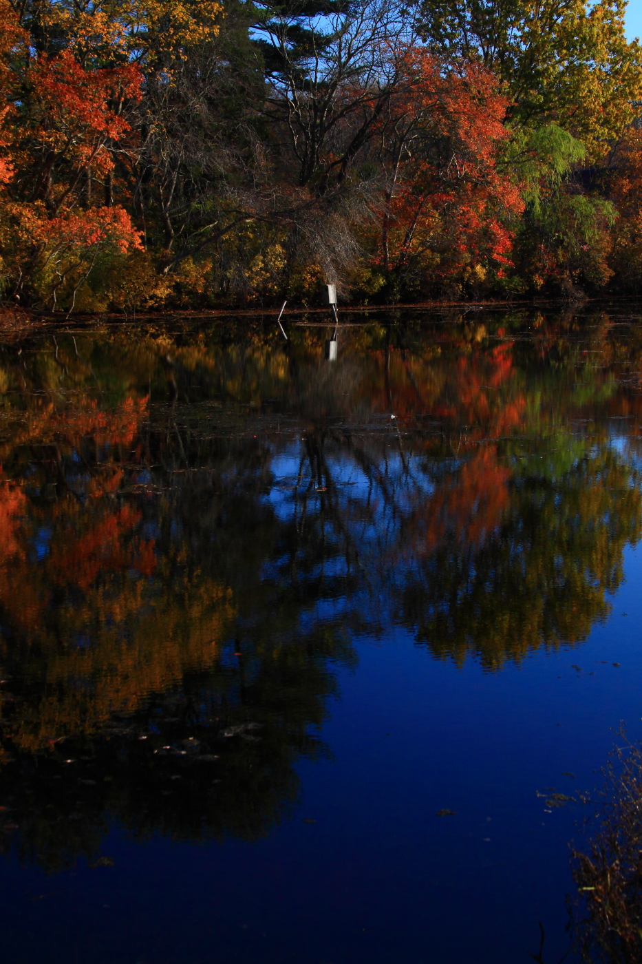 2011 11 05 1194