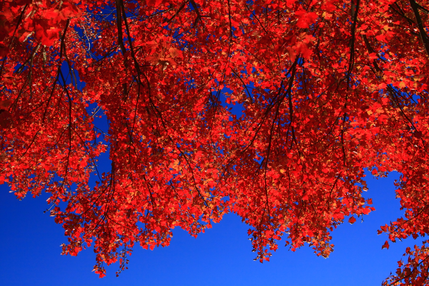 2011 11 05 1199