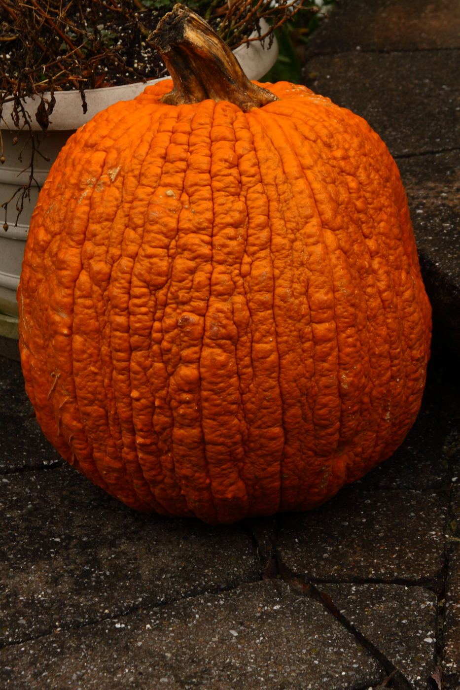 2012 10 24 9999 5