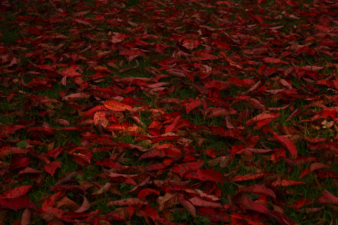 2012 10 26 9999 55