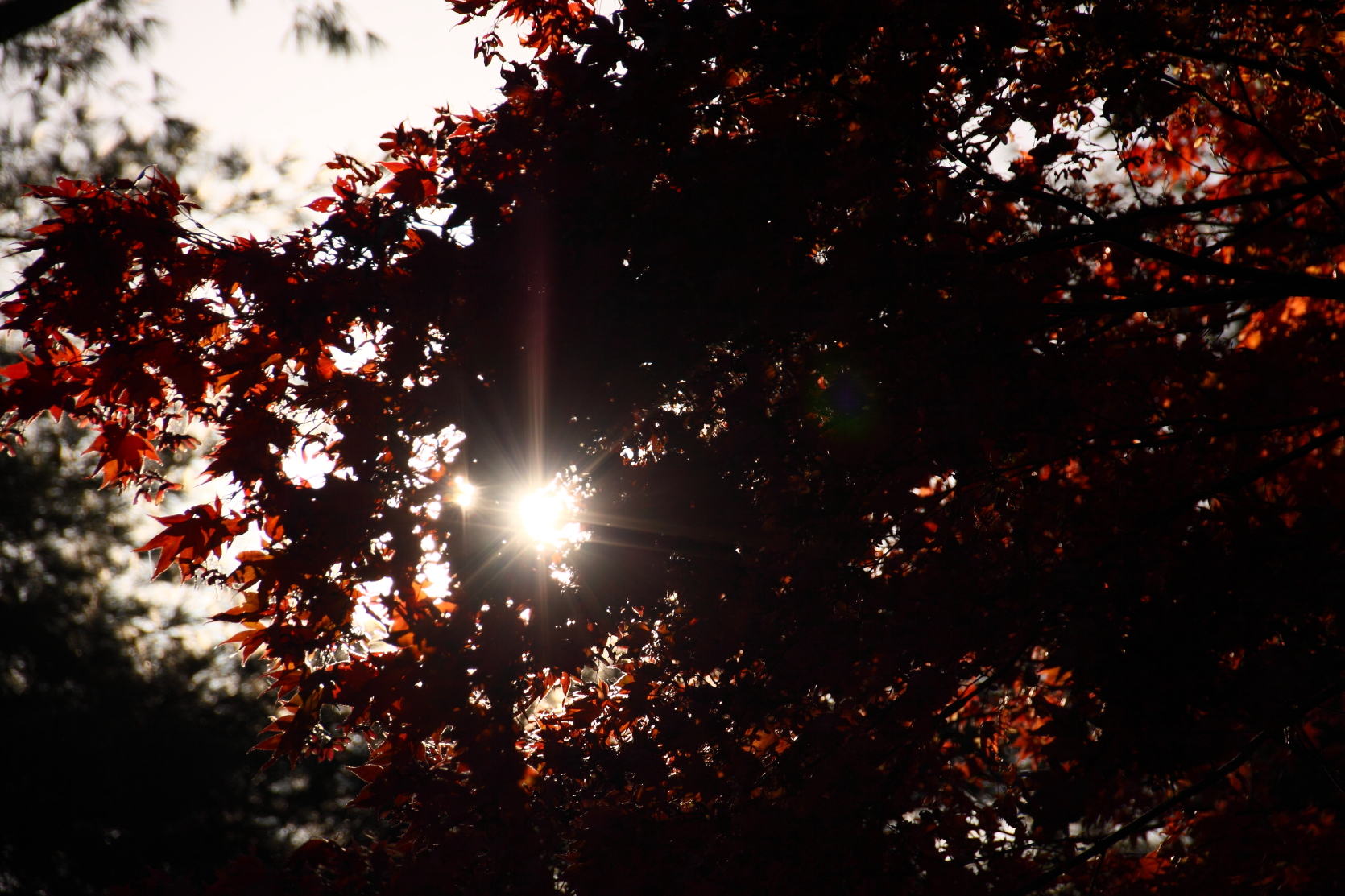 2013 11 06 HTP 15972