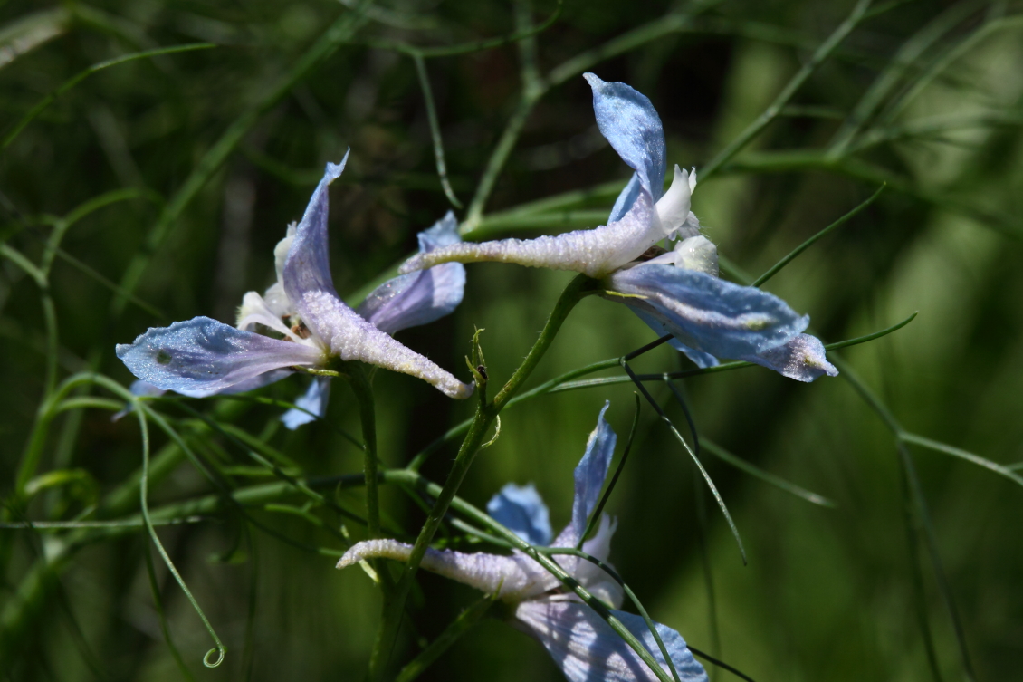 2013 08 02 HTP 00255