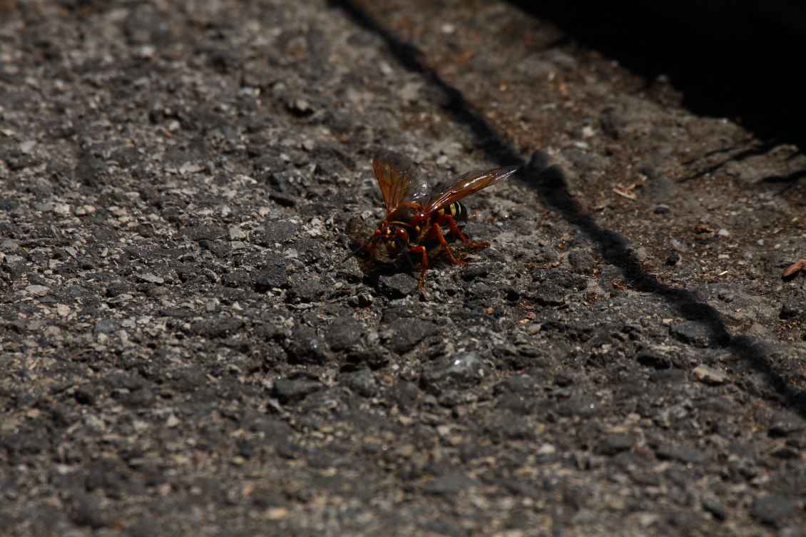 2013 08 02 HTP 00287