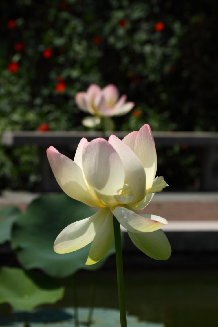2013 08 02 HTP 00319