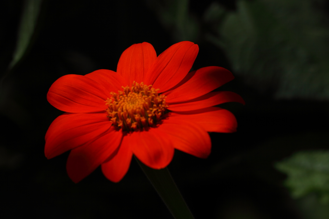 2013 08 02 HTP 00332