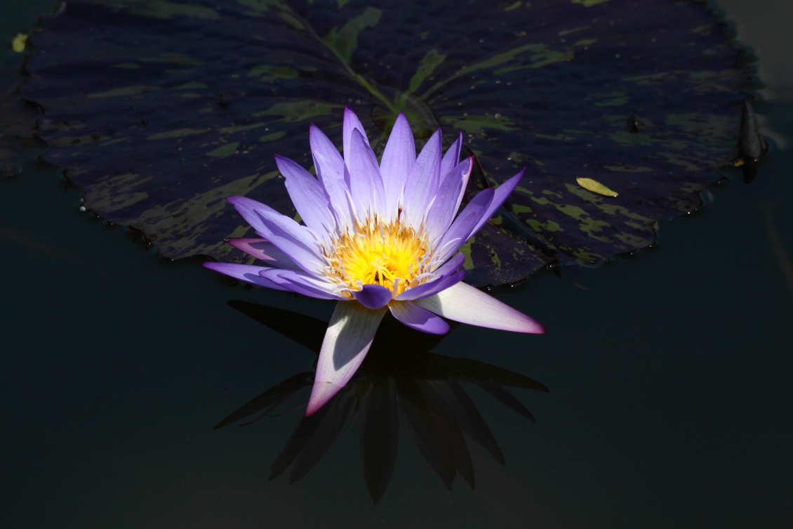 2013 08 02 HTP 00420