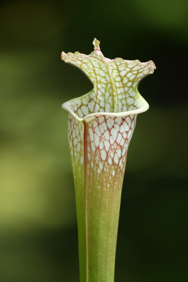 2013 08 02 HTP 00469