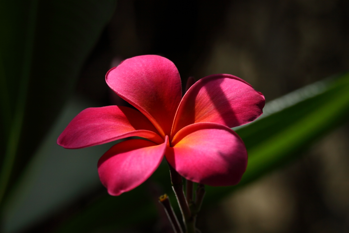 2013 08 02 HTP 00492