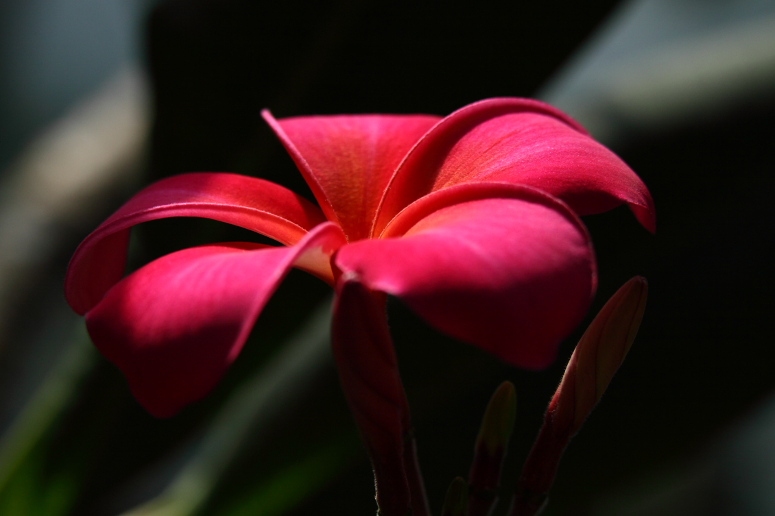 2013 08 02 HTP 00494