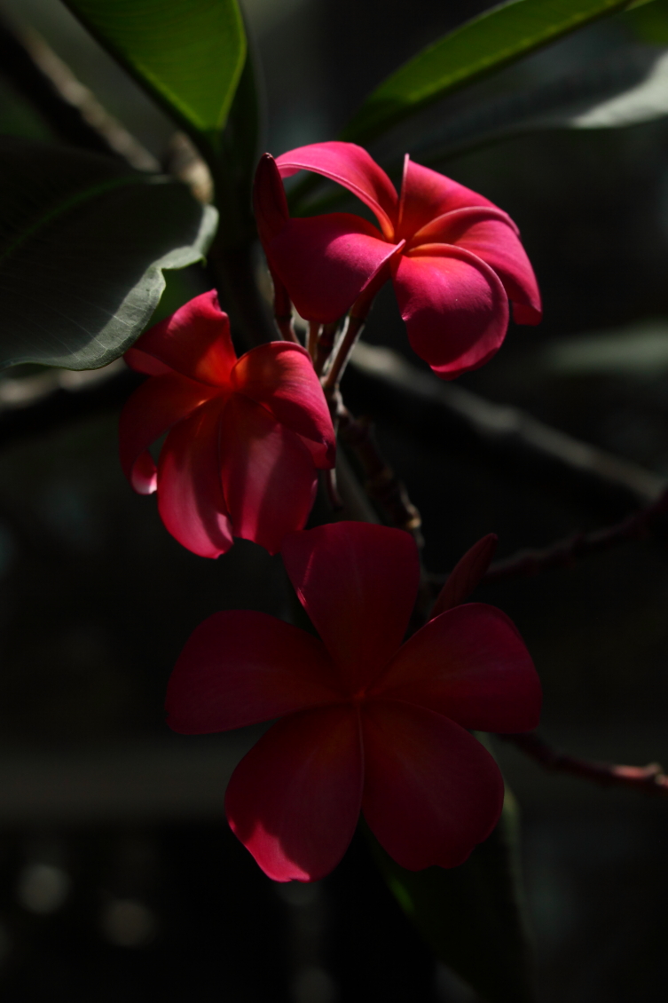 2013 08 02 HTP 00495