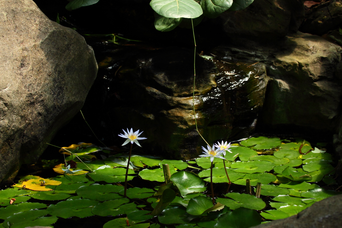 2013 08 02 HTP 00500