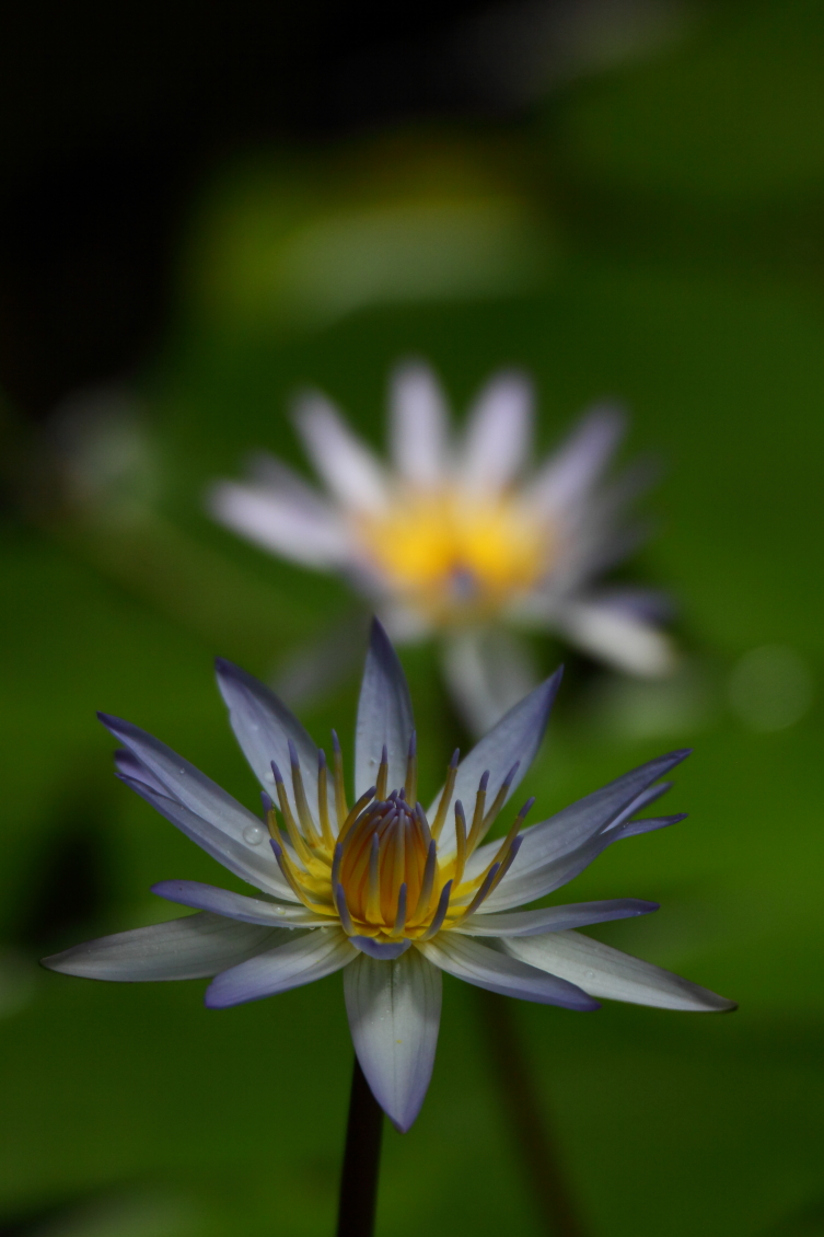 2013 08 02 HTP 00503