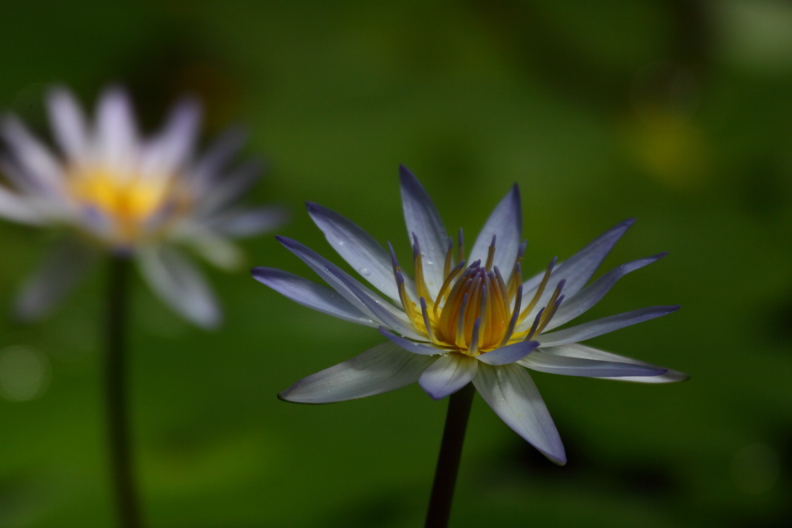 2013 08 02 HTP 00504