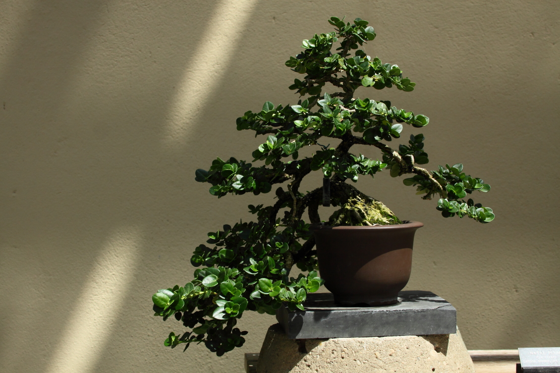 2013 08 02 HTP 00519