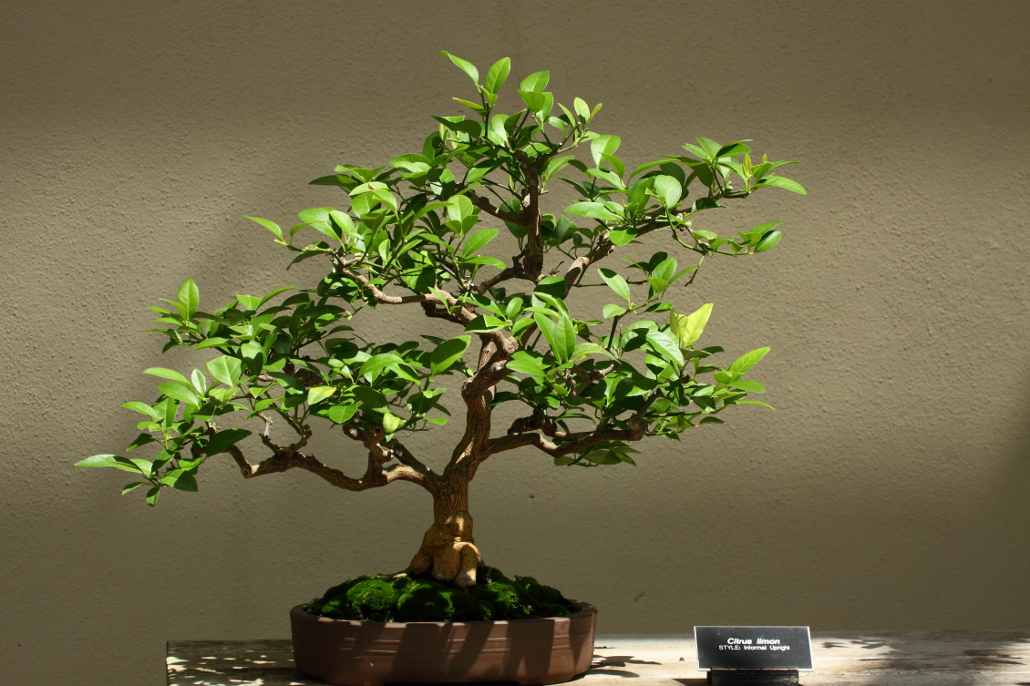 2013 08 02 HTP 00527