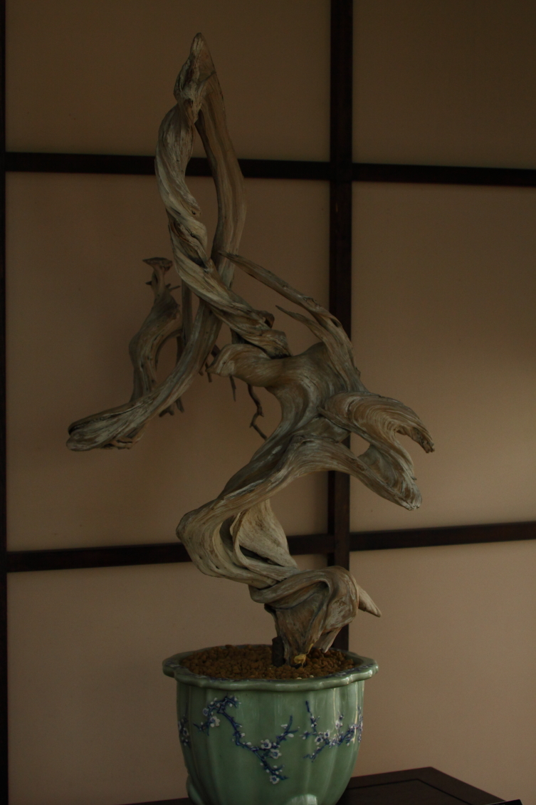 2013 08 02 HTP 00546
