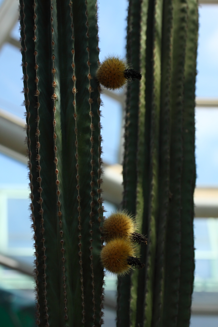 2013 08 02 HTP 00554