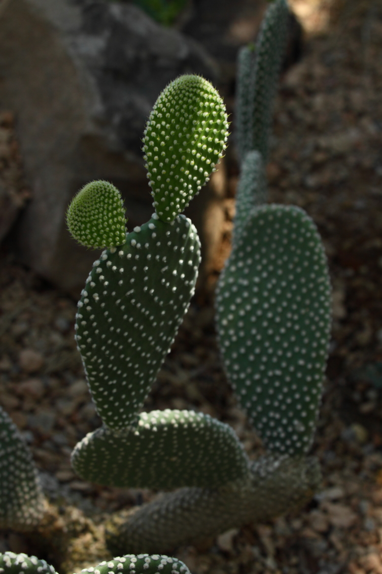 2013 08 02 HTP 00562