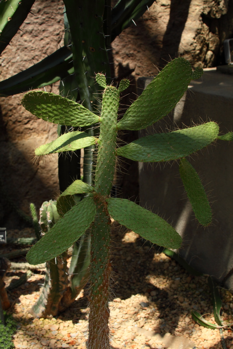 2013 08 02 HTP 00564