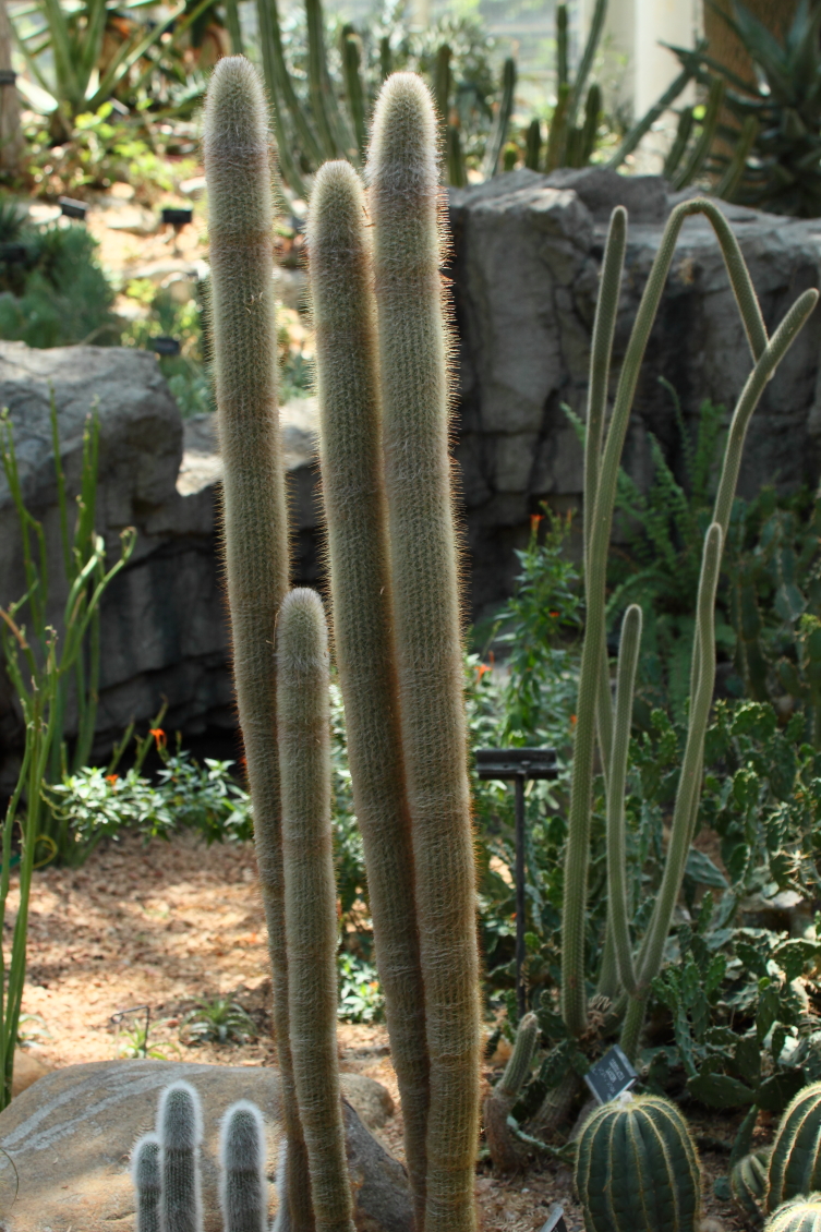2013 08 02 HTP 00568