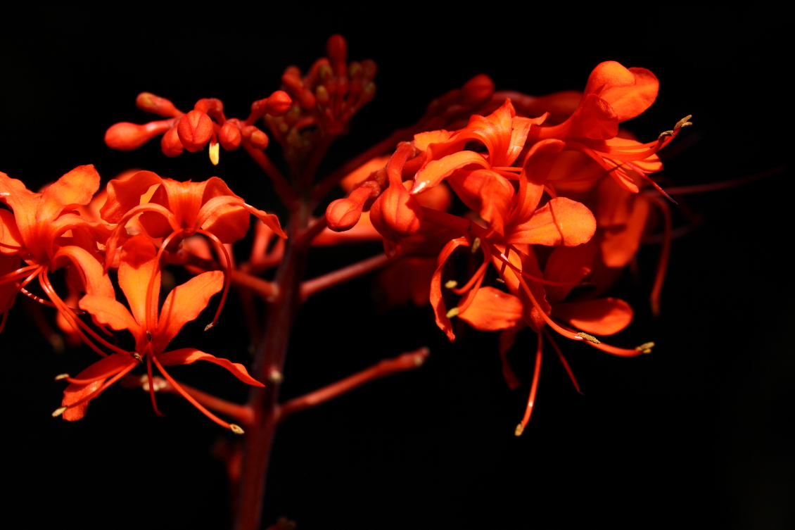 2013 08 02 HTP 00598