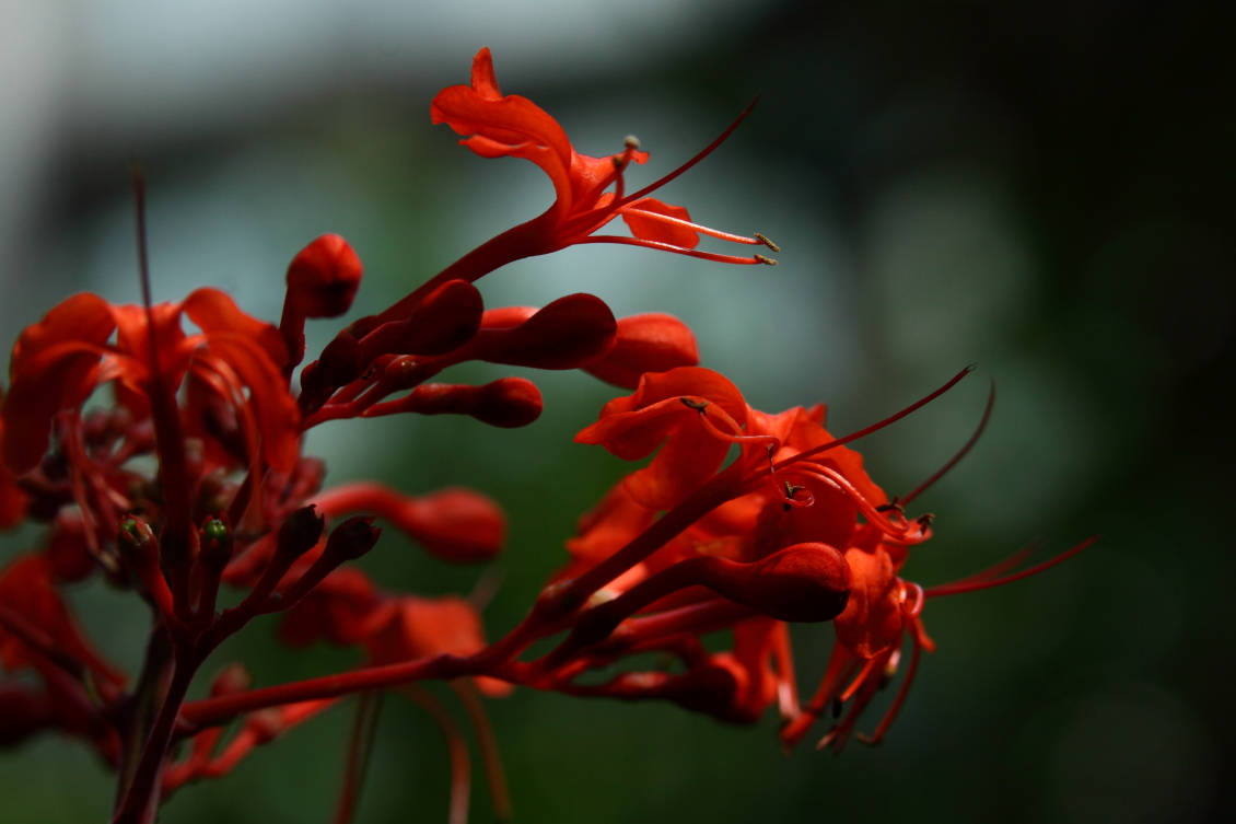2013 08 02 HTP 00604