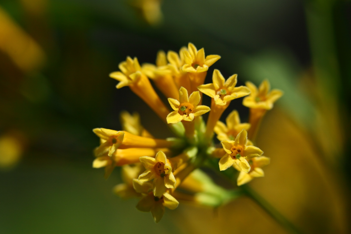 2013 08 02 HTP 00621