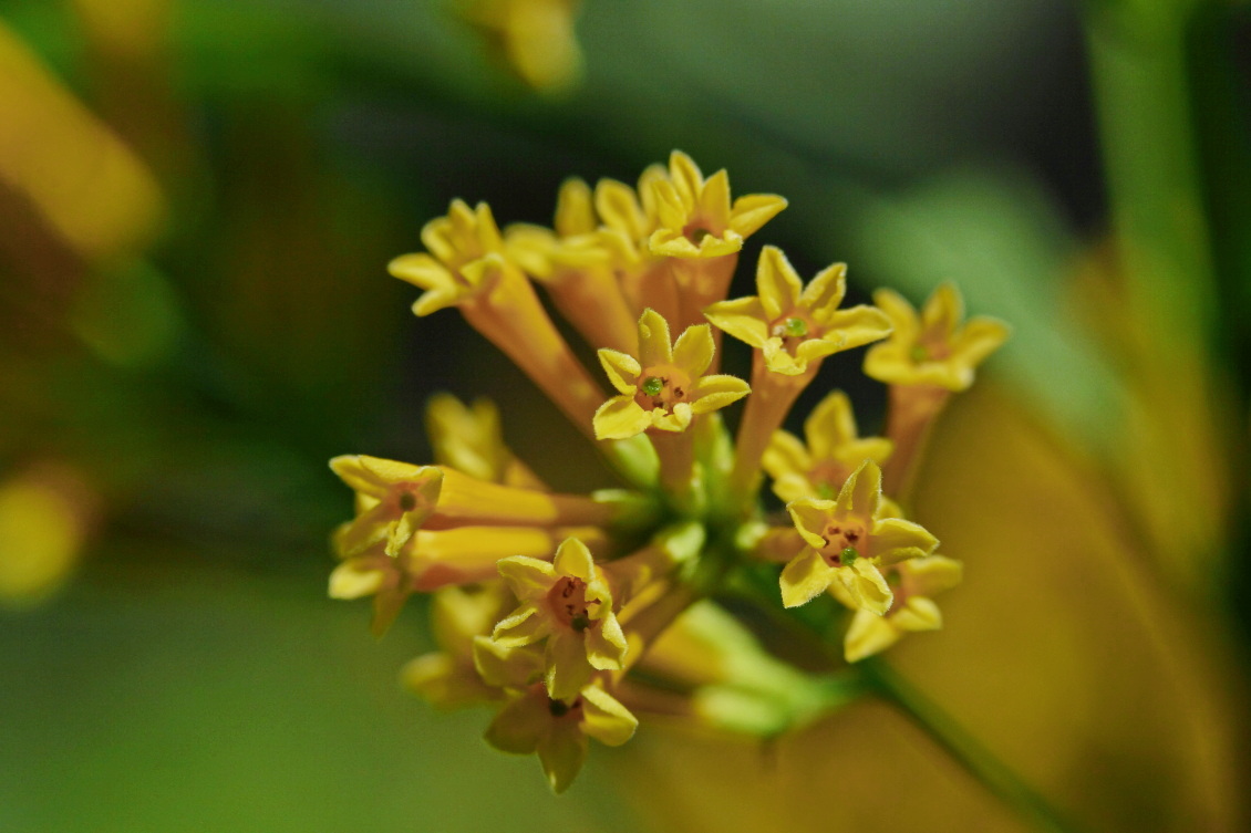 2013 08 02 HTP 00621e