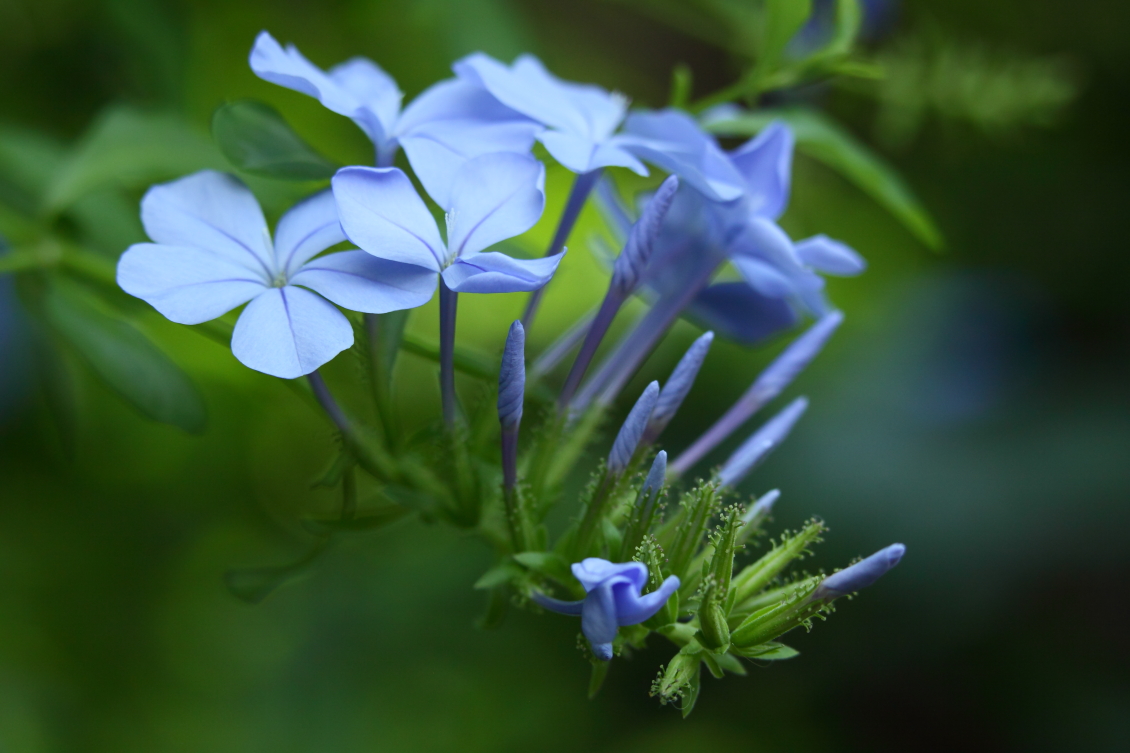 2013 08 02 HTP 00626