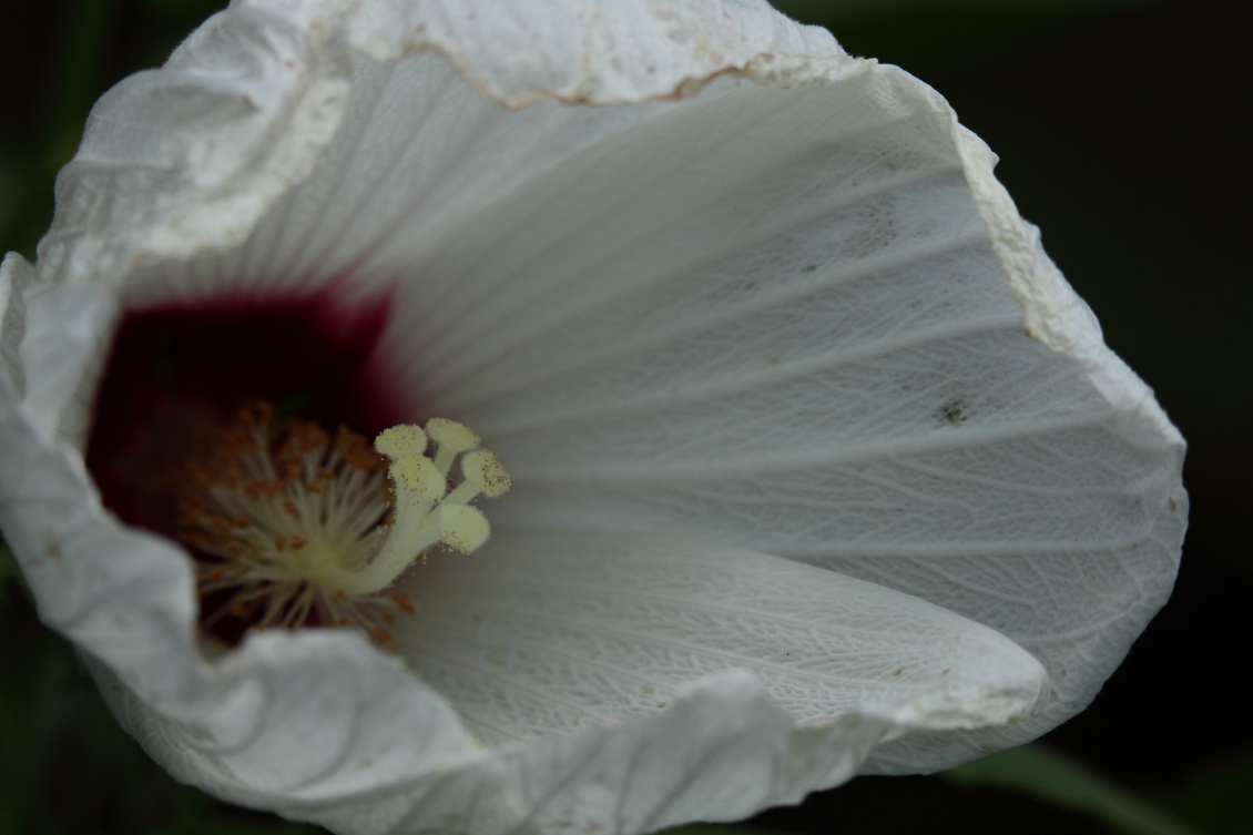 2013 08 02 HTP 00634