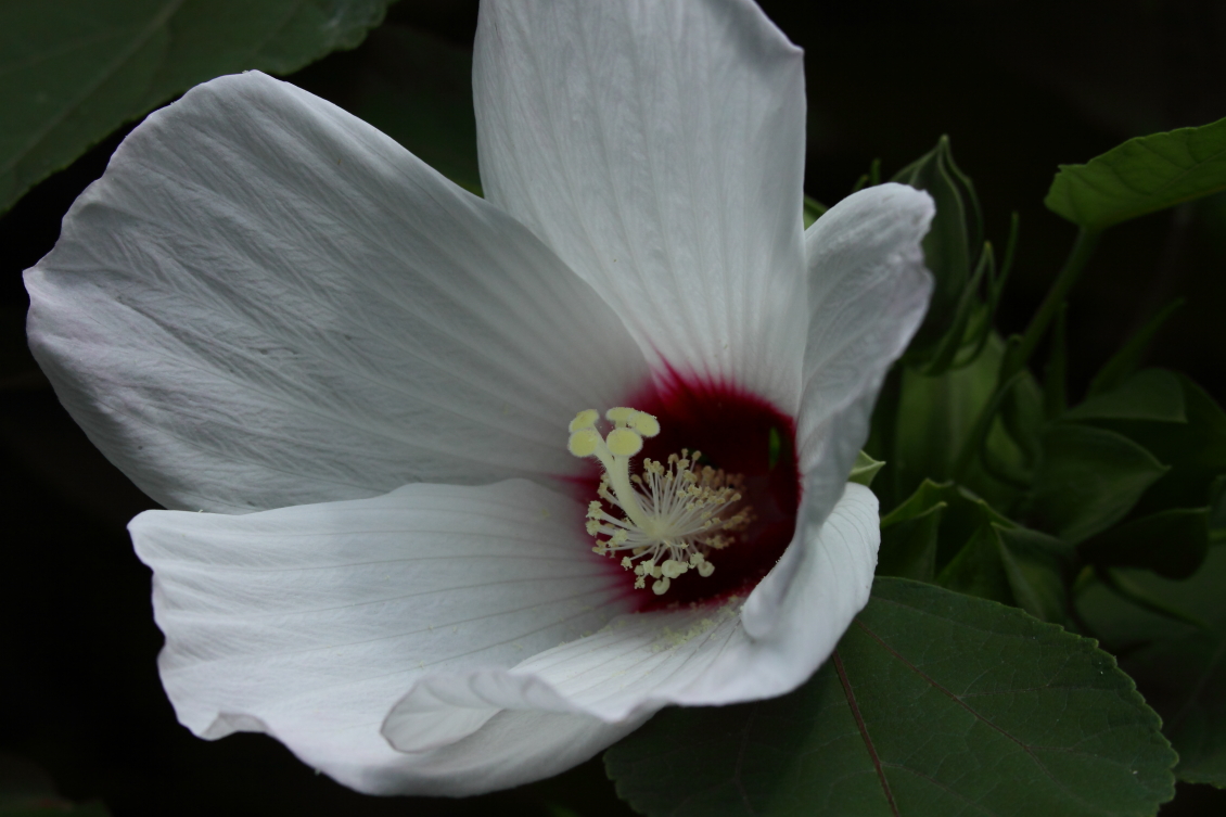 2013 08 02 HTP 00642