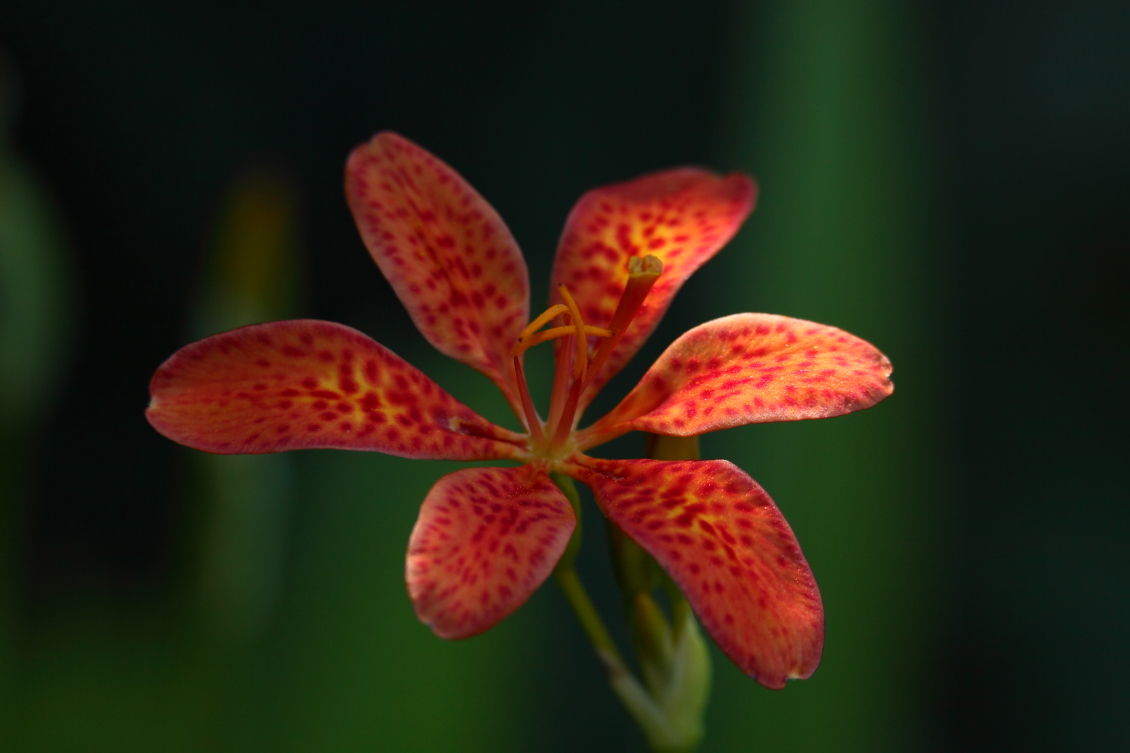 2013 08 02 HTP 00654