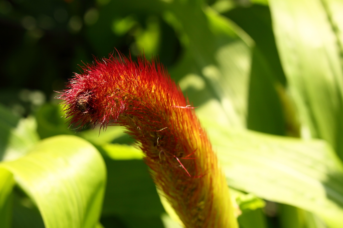 2013 08 02 HTP 00688