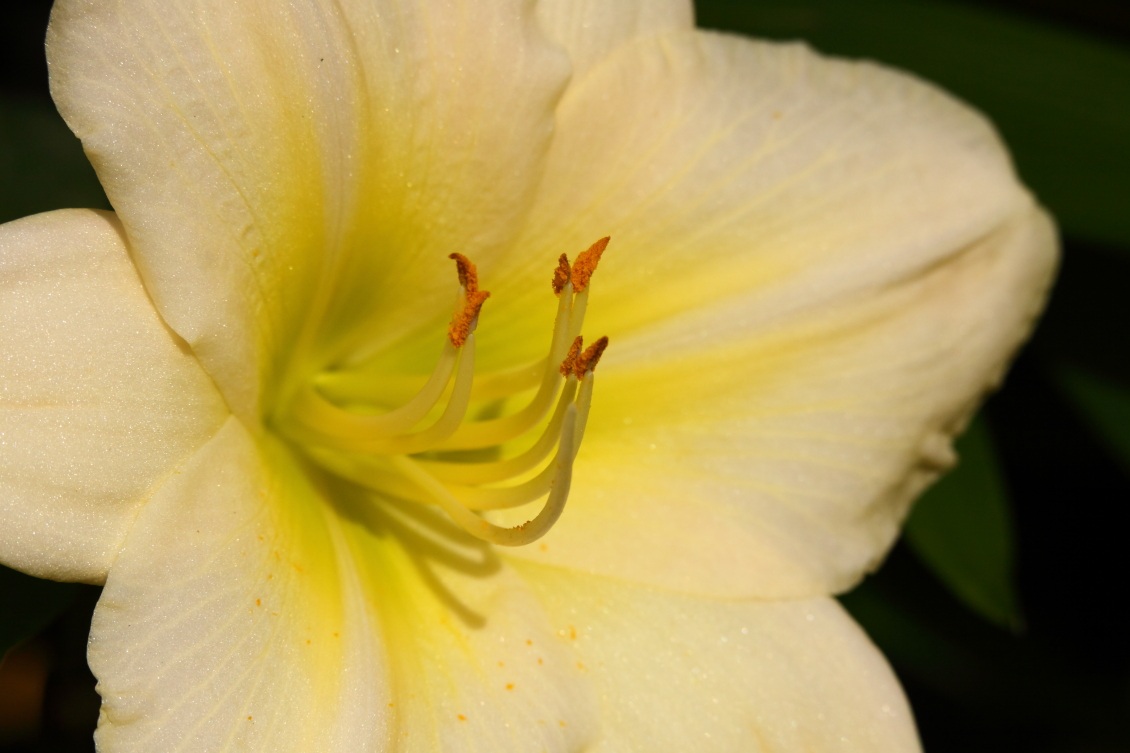 2013 08 02 HTP 00723